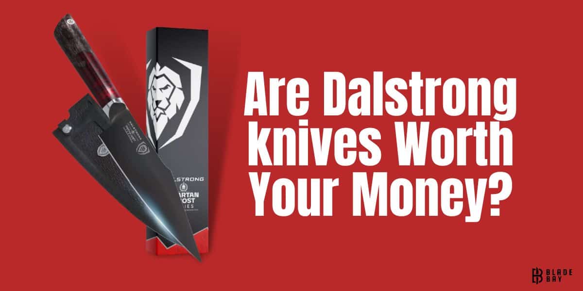 Features Image of are Dalstrong knives worth buying