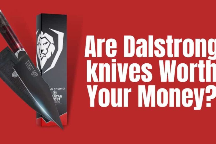 Features Image of are Dalstrong knives worth buying